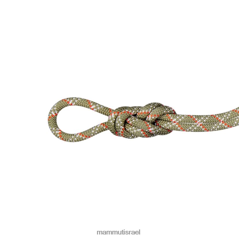 Mammut לִשְׁנֵי הַמִינִים חבל 9.5 חדר כושר קלאסי TV02201407 צִיוּד בואה-לבן