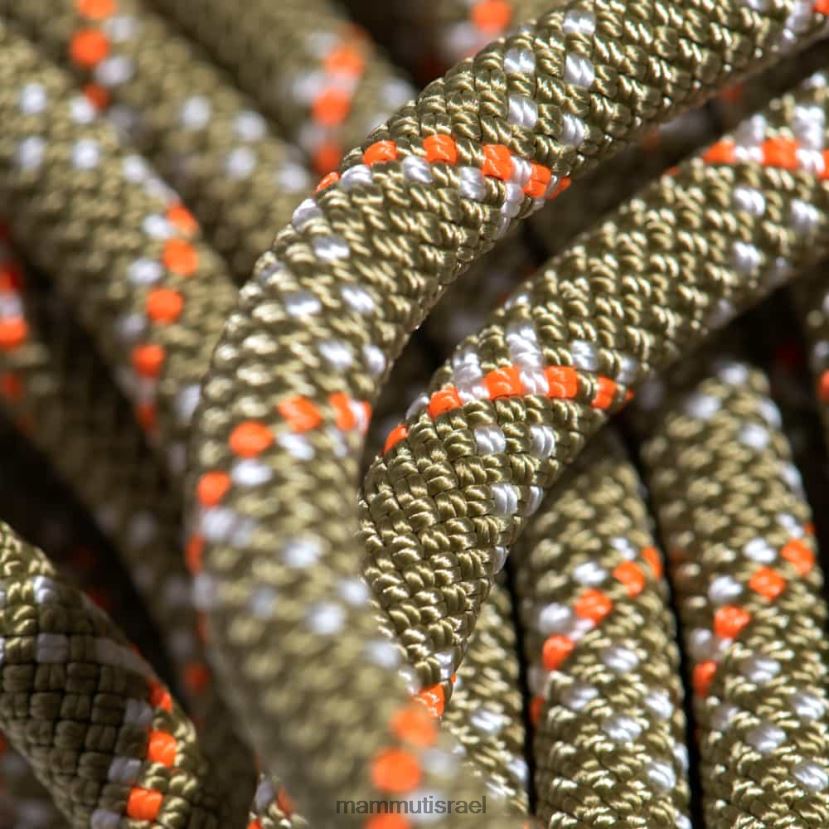 Mammut לִשְׁנֵי הַמִינִים חבל 9.5 חדר כושר קלאסי TV02201407 צִיוּד בואה-לבן