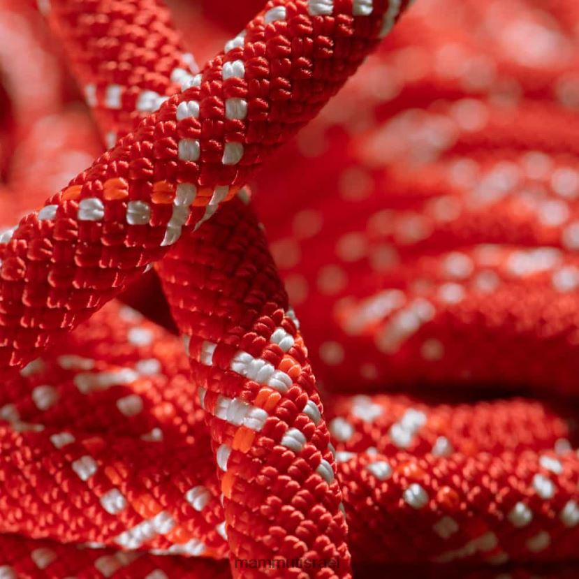 Mammut לִשְׁנֵי הַמִינִים חבל 9.5 חדר כושר קלאסי TV0220502 צִיוּד פטל-לבן