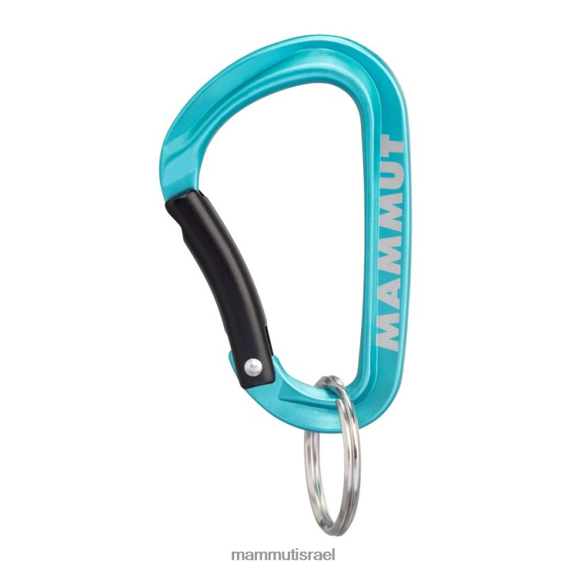 Mammut לִשְׁנֵי הַמִינִים מיני carabiner classic keylock s TV02201318 צִיוּד כְּחוֹל
