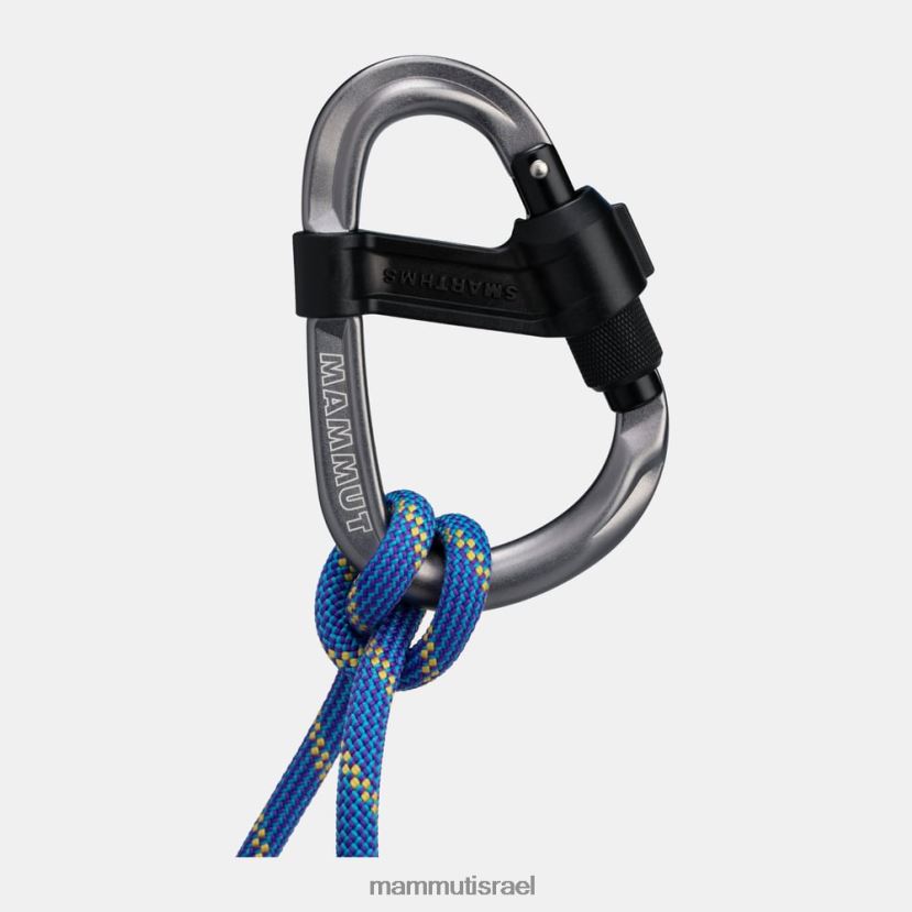 Mammut לִשְׁנֵי הַמִינִים סמארט hms 2.0 carabiner screwgate TV0220460 צִיוּד אפור